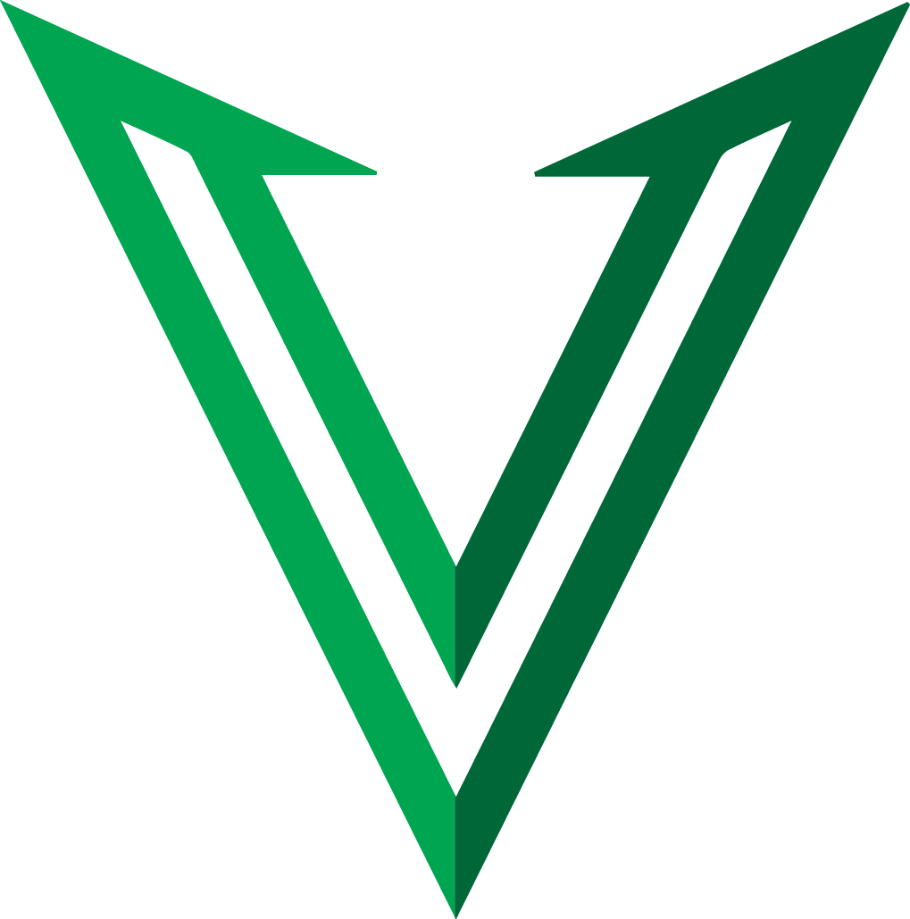 VAPT Decoded Logo